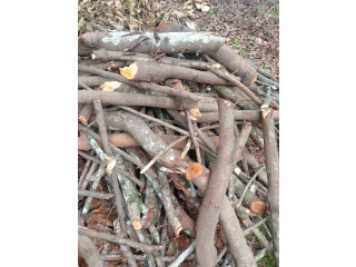 Wood