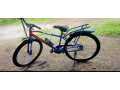 bicycle-small-1