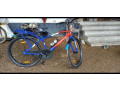 bicycle-small-2