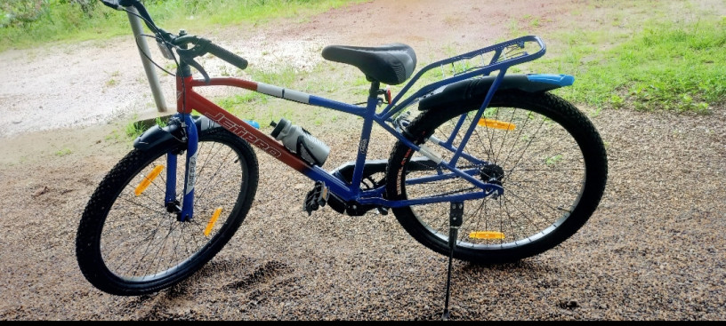 bicycle-big-1