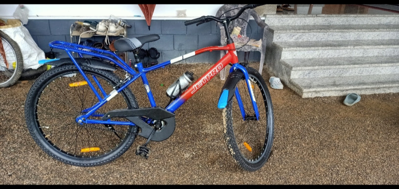 bicycle-big-2
