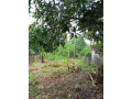 7-cents-residential-plot-for-sale-ammachanmukku-koottikkada-kollam-small-2