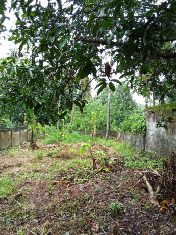 7-cents-residential-plot-for-sale-ammachanmukku-koottikkada-kollam-big-2