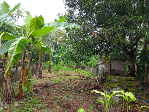 7-cents-residential-plot-for-sale-ammachanmukku-koottikkada-kollam-big-1