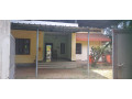house-for-rent-small-4