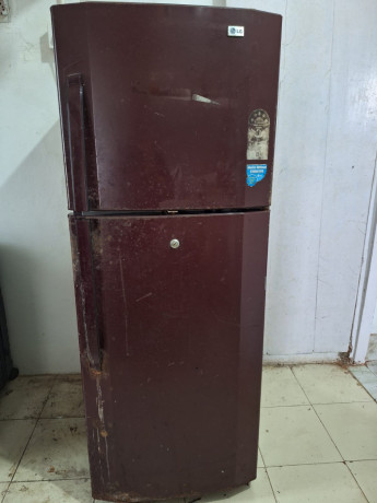 lg-fridge-big-0
