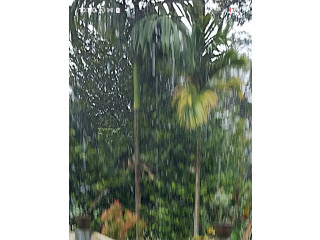 40 Cent Land for Sale