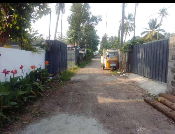 5-cent-with-old-house-near-ayathil-bypass-big-4