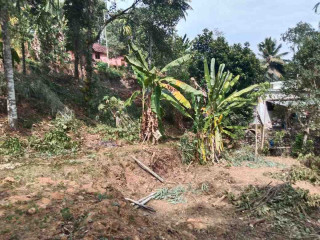 12.75 cent of land for sale in ,Mundukottakal, Pathanamthitta