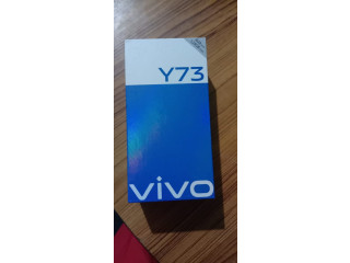 Vivo y73 mobile