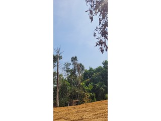 32 cent land for sale near Mannady Temple